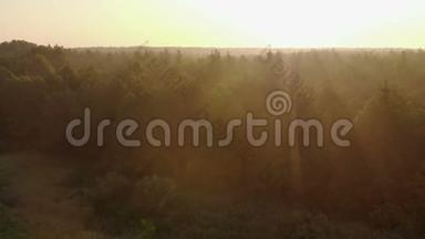 风景日出，明亮的太阳，在薄雾的草地上，树木在一个晴朗的早晨。 一片自然的田园风光